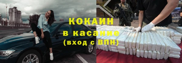 прущие грибы Арсеньев