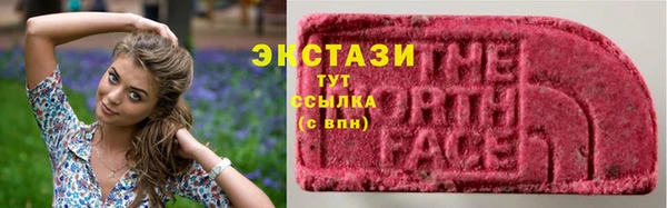 прущие грибы Арсеньев