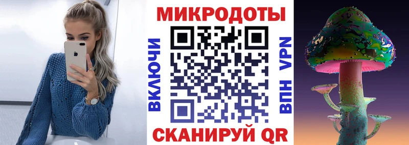 Псилоцибиновые грибы Psilocybe  Купить закладки  Болохово 