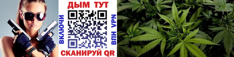 Канабис Ganja  Купить где  Болохово 